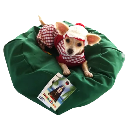 Mansitos 3 in 1 Bean Bag / Carry-on / Leash