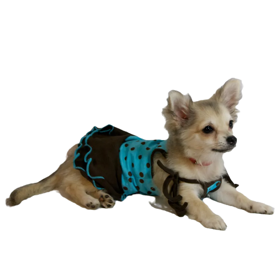 Mansitos Pet Dress