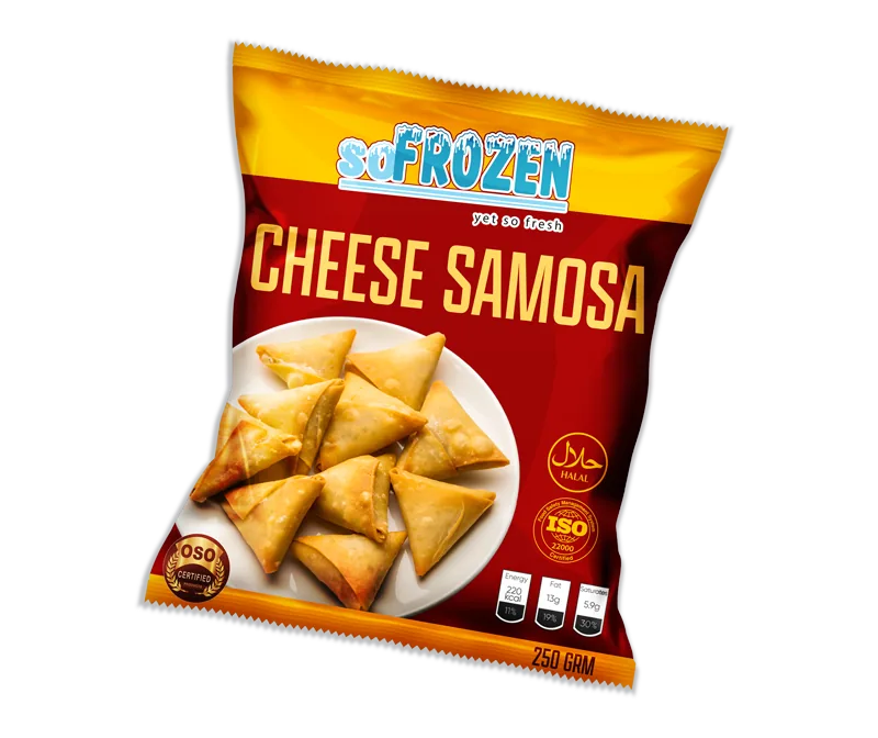 So Frozen Samosa